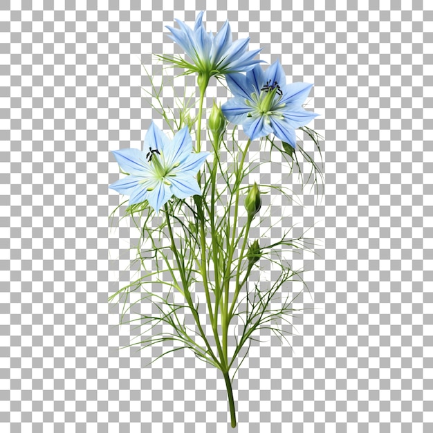 ein Bild einer blauen Blume mit der unteren linken Seite des Bildes