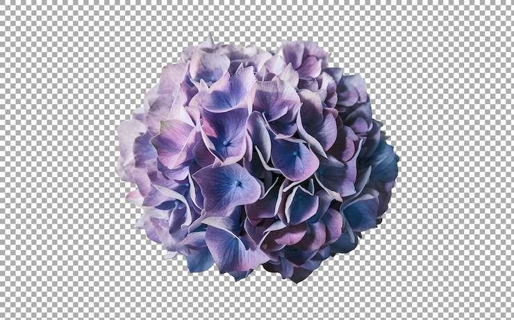 PSD ein bild einer blume, die von einer pflanze hergestellt wird