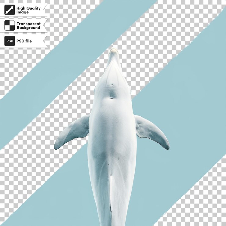 PSD ein bild eines delphins, auf dem das wort wal steht