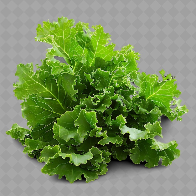 Ein bild eines salats mit einem hintergrund eines rasters mit einem quadratischen muster