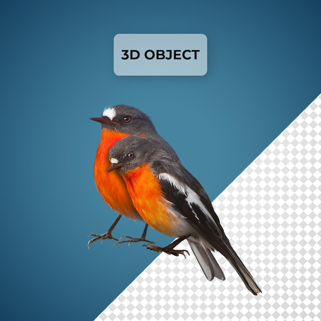 ein Bild eines Vogels mit einem Bild eines Vögels darauf