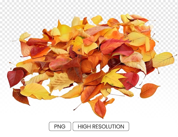 PSD ein bild von herbstblättern mit einer vielfältigen palette