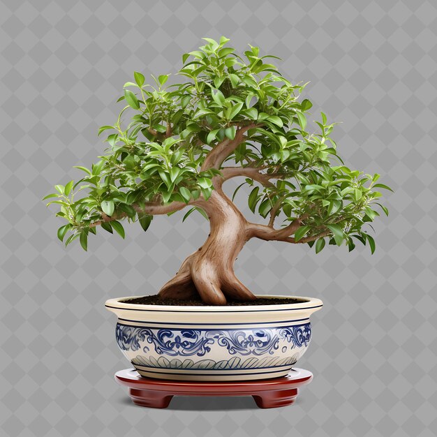 Ein bonsai-baum mit einem blau-weißen blütenpot