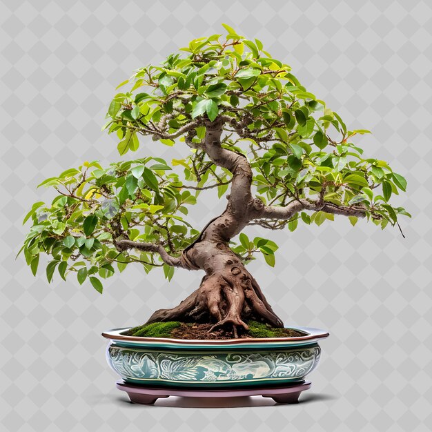 PSD ein bonsai-baum mit einem grünen topf mit einem design darauf