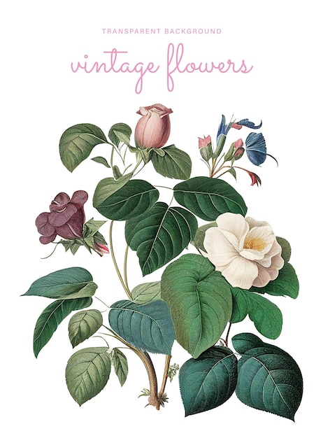 PSD ein buchcover für ein buch namens vintage flowers