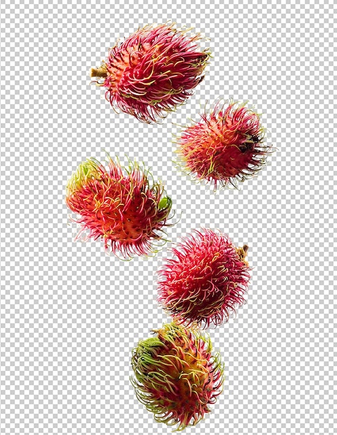 ein Bündel Granatapfel wird in einem Foto gezeigt