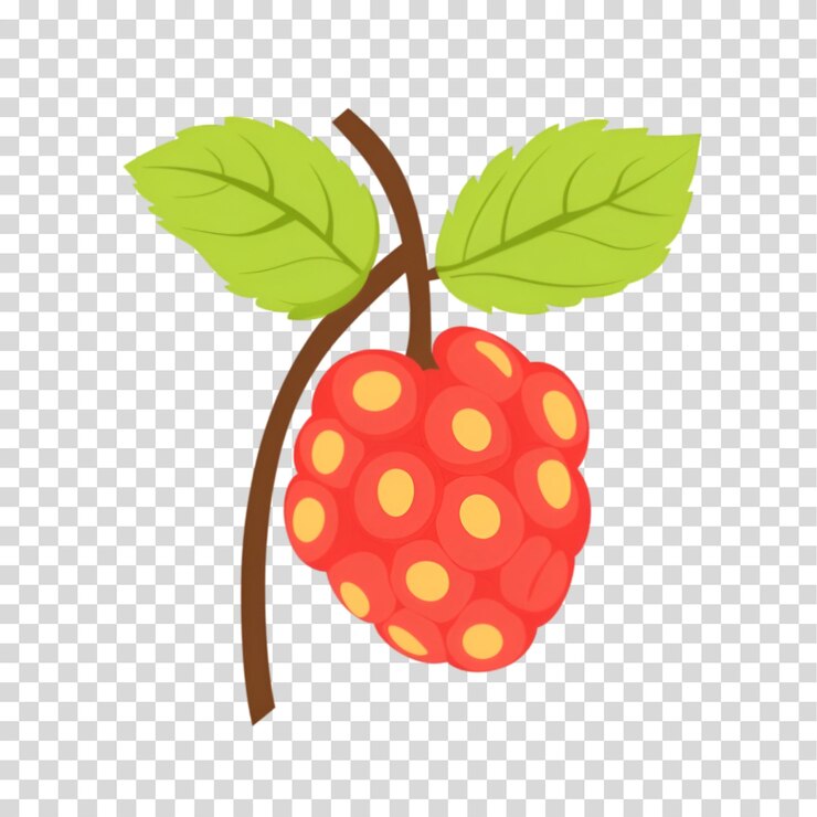 PSD ein bündel himbeeren mit einem grünen blatt, das auf einem durchsichtigen hintergrund mit png-ausschnitt isoliert ist