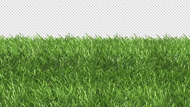 PSD ein gras mit weißem hintergrund.