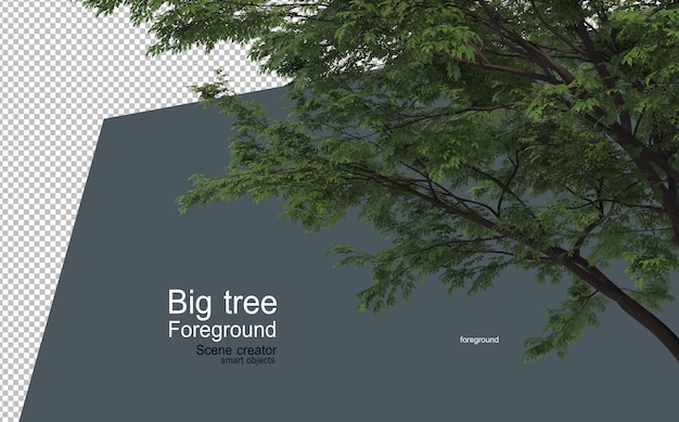 Ein großer Baum im Vordergrund mit vielen verschiedenen Arten und Formen