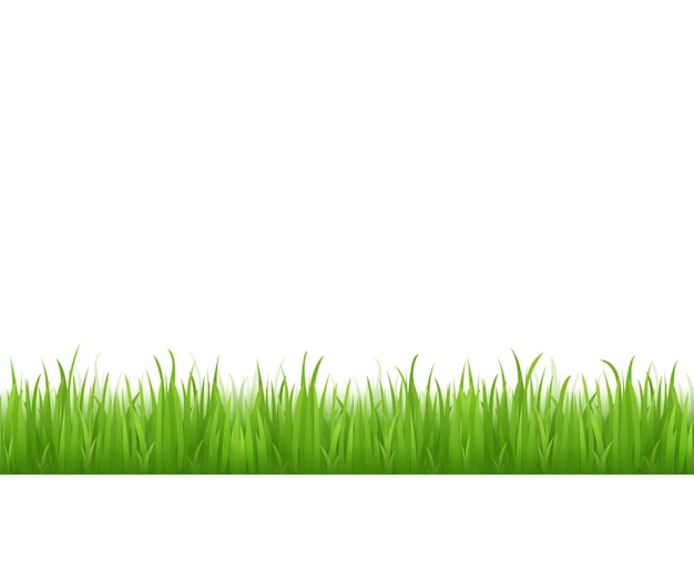 ein grüner Gras-Hintergrund mit einem Gras, das daraus wächst