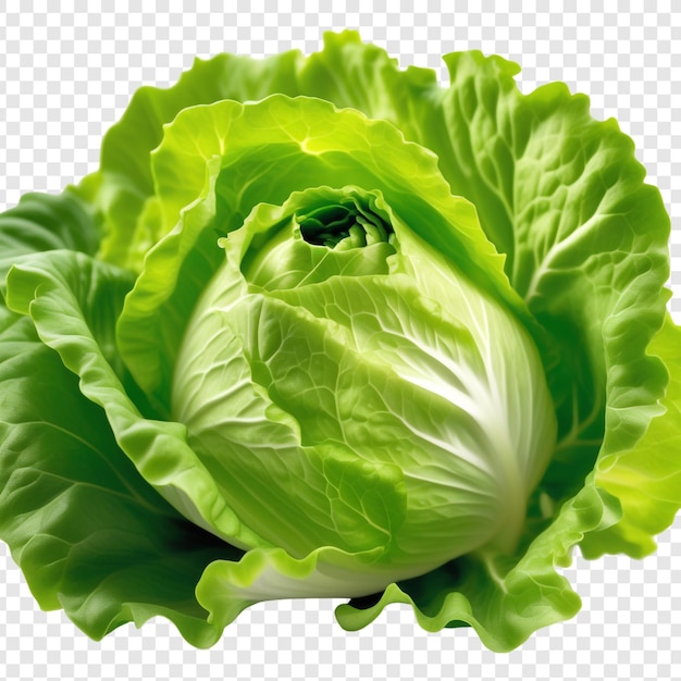 PSD ein grüner salat mit weißem hintergrund