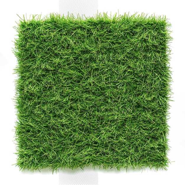 ein grünes Grasstück