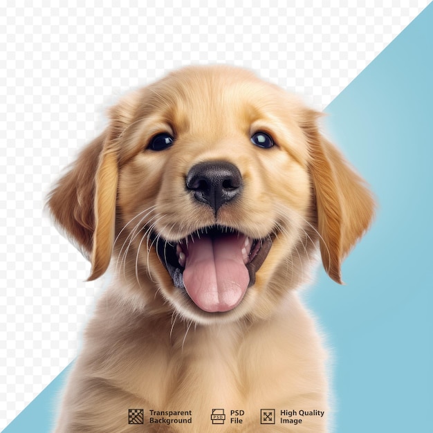 PSD ein hund, der lächelt und ein bild von einem hund mit offenem maul hat.