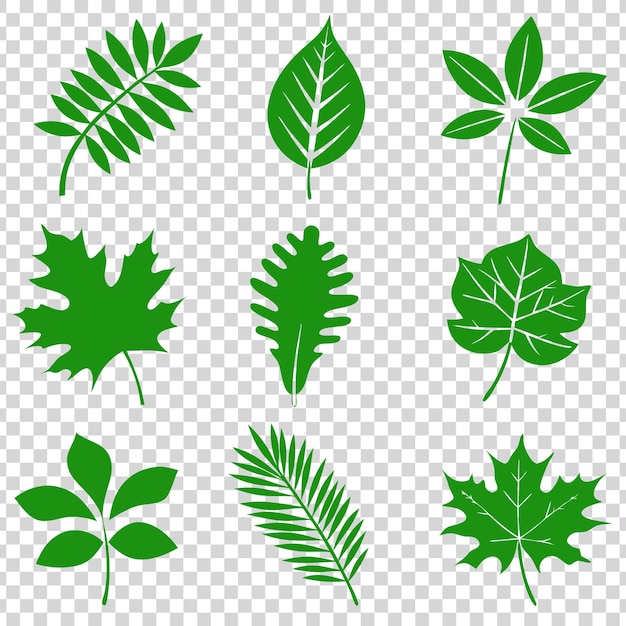 Ein Satz von Naturblattsilhouetten aus verschiedenen Bäumen