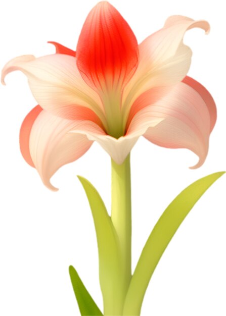 PSD ein süßes amaryllis-blumen-symbol