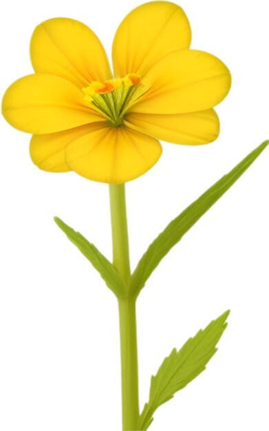PSD ein süßes primrosenblumen-symbol