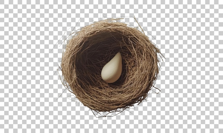 PSD ein zartes ei in einem rustikalen nest, das neue anfänge und die schönheit der natur symbolisiert