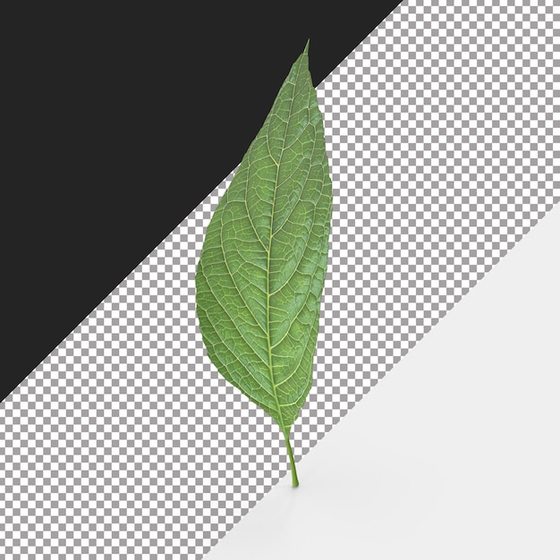 Eine 3D-Rendered-Datei mit einem grünen Brich-Blatt