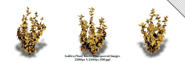 PSD eine atemberaubende 3d-darstellung einer goldenen pflanze, die jedem design reichtum und eleganz verleiht