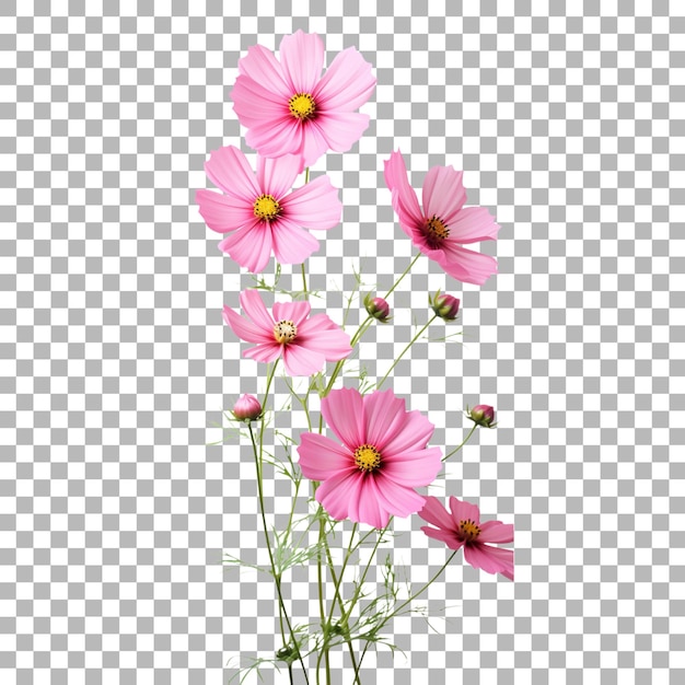 PSD eine blume ist im vordergrund und der hintergrund ist ein quadrat