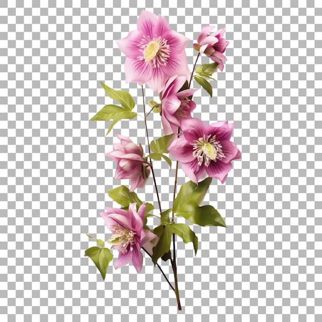 PSD eine blumenvase mit weißem hintergrund und einem gezeichneten hintergrund