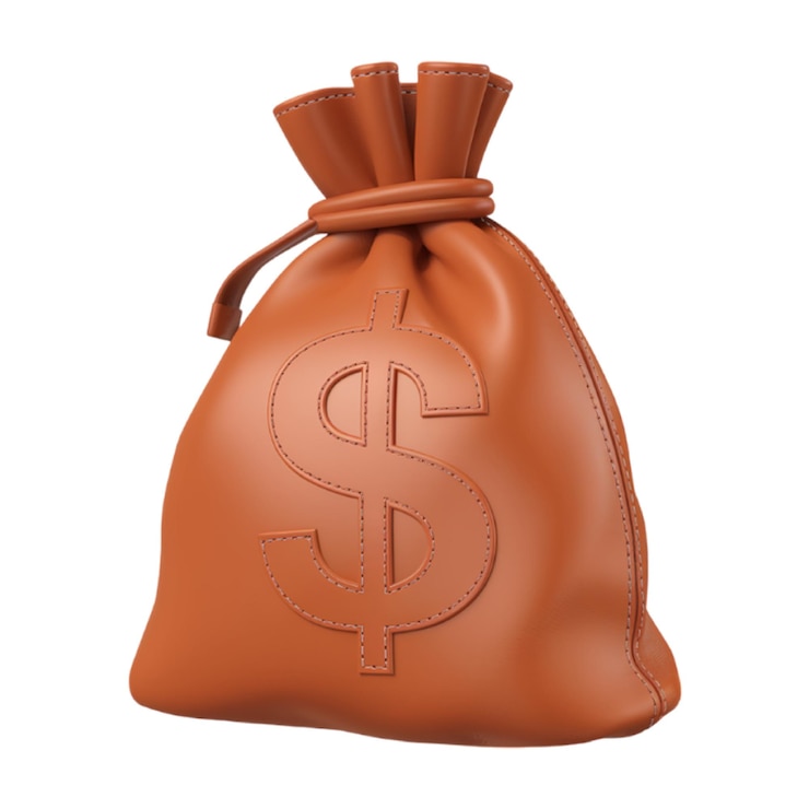 PSD eine braune ledertasche mit einem dollarzeichen darauf