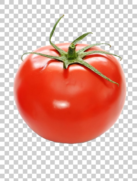 Eine einzelne reife rote Tomate