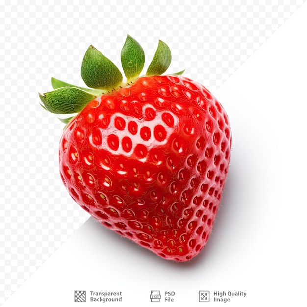 eine Erdbeere mit grünem Stiel und der Aufschrift „frische Erdbeere“ darauf.