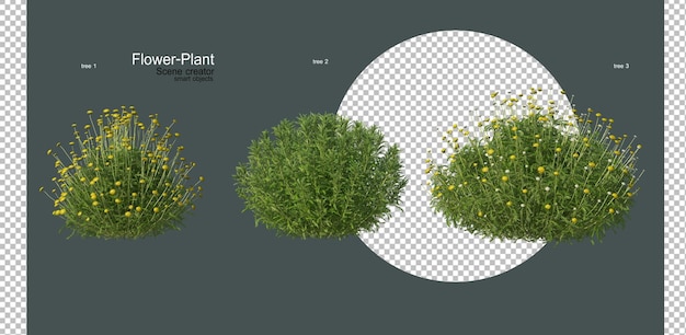 eine große Vielfalt an Blumen und Pflanzen