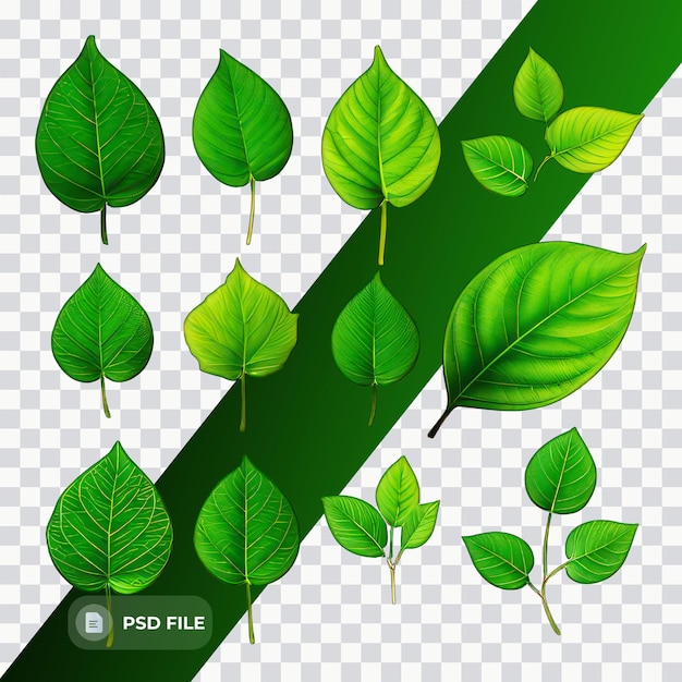PSD eine grüne pflanze mit einem grünen blatt auf einem gecheckten hintergrund