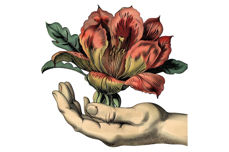PSD eine hand, die eine rose mit einem stamm hält
