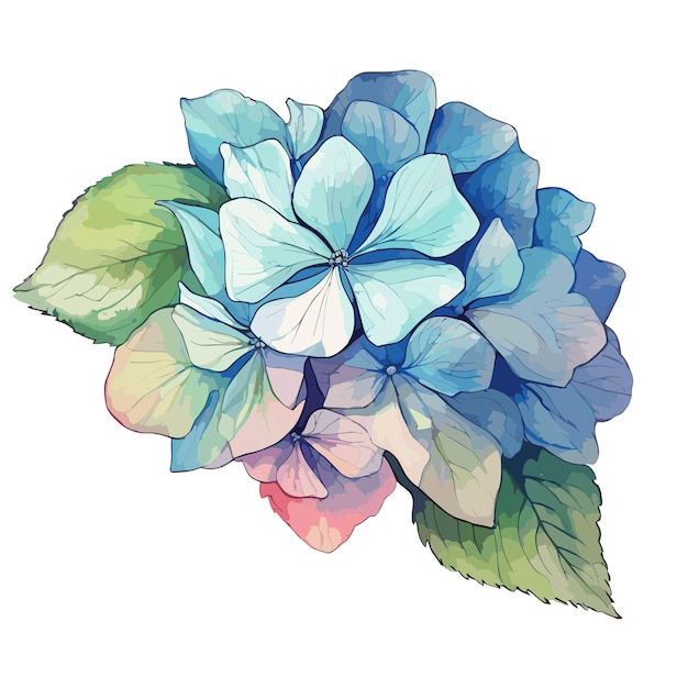 PSD eine hydrangea-aquarell-t-shirt-design-grafik illustration aquarell png psd