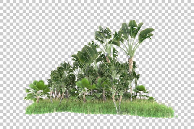 Eine Palme auf transparentem Hintergrund mit transparentem Hintergrund.