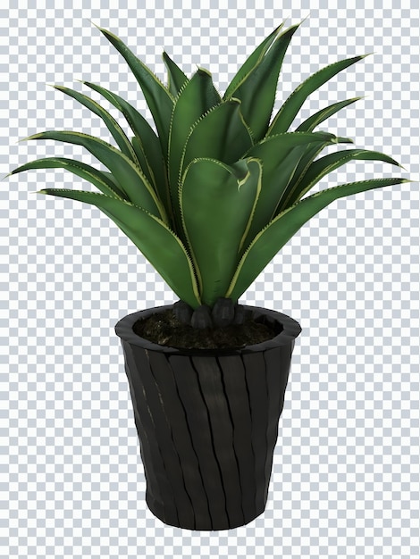 PSD eine pflanze mit einem grünen blatt