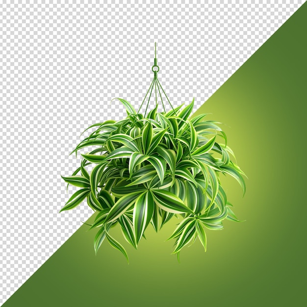PSD eine pflanze mit grünem hintergrund und einem bild einer pflanze