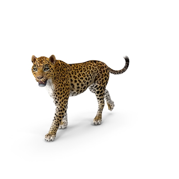 Eine realistische Darstellung eines Leoparden in Bewegung, isoliert auf Weiß