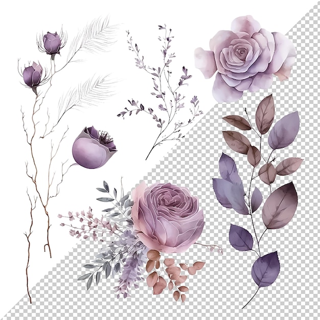 PSD eine reihe von aquarellblumen und blättern clipart auf transparentem hintergrund