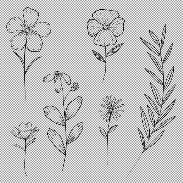 Eine Reihe von Blumenzeichnungen mit Tinte