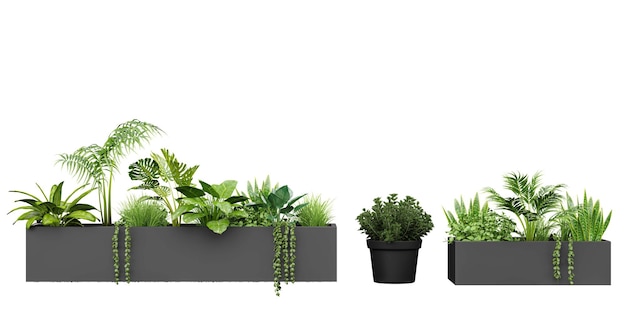Eine Reihe von Pflanzen in einem Pflanzgefäß mit einer Aufschrift „Grün“