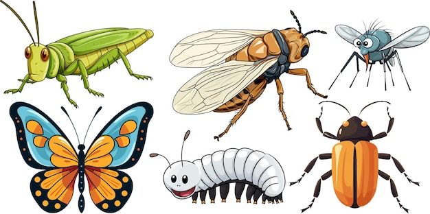 eine Sammlung von Insekten, darunter ein Schmetterling, ein Schmetterling, ein Schmetterling und eine Libelle