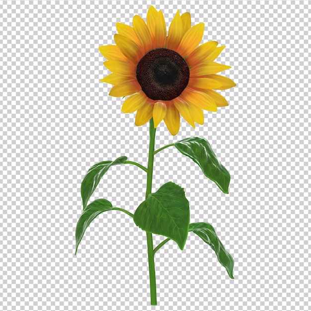 Eine Sonnenblume mit einem grünen Blatt darauf