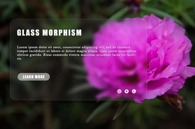 Eine Website, auf der „class morphim“ steht