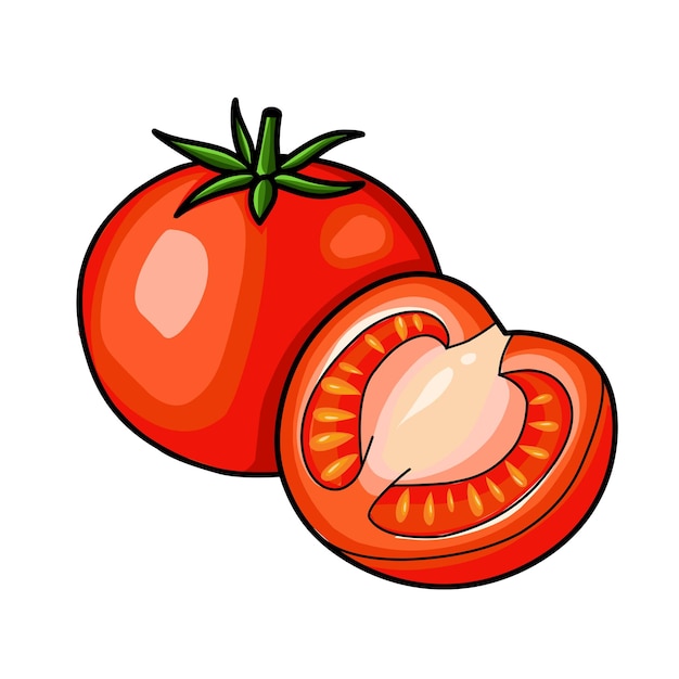 Eine Zeichnung einer Tomate mit dem Wort Tomate darauf.