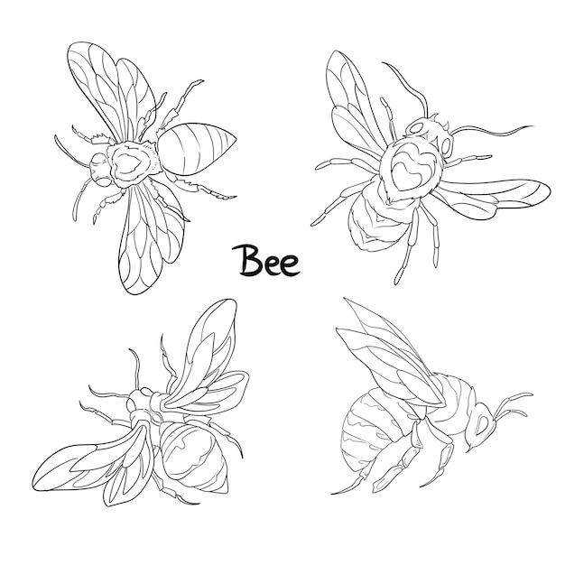 eine Zeichnung von Bienen und Bienen Linie Kunst Tattoo Design Tattoo Kunst Bienen Tattoo