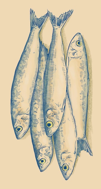 eine Zeichnung von Fischen auf einem braunen Hintergrund