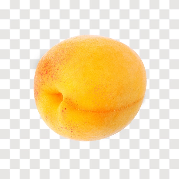 Einzelne frische Aprikose ohne Hintergrund