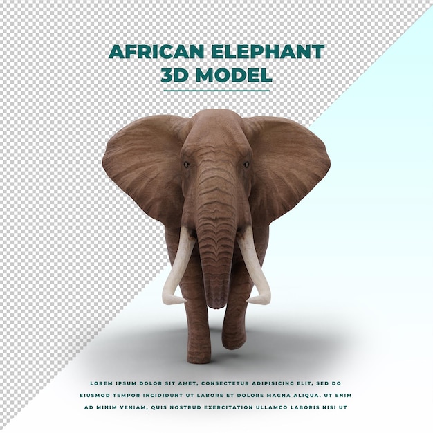 PSD elefante africano isolado