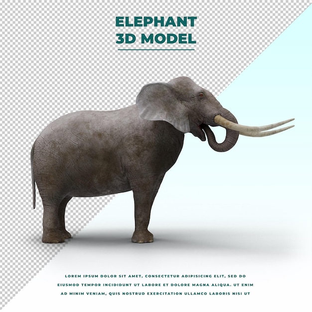 Elefante aislado