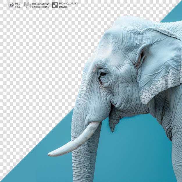 PSD elefante blanco en 3d