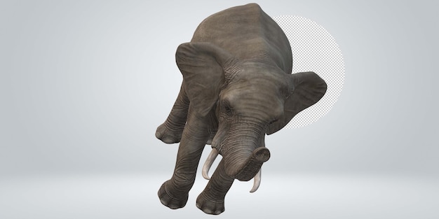 Elefante isolado em um fundo transparente